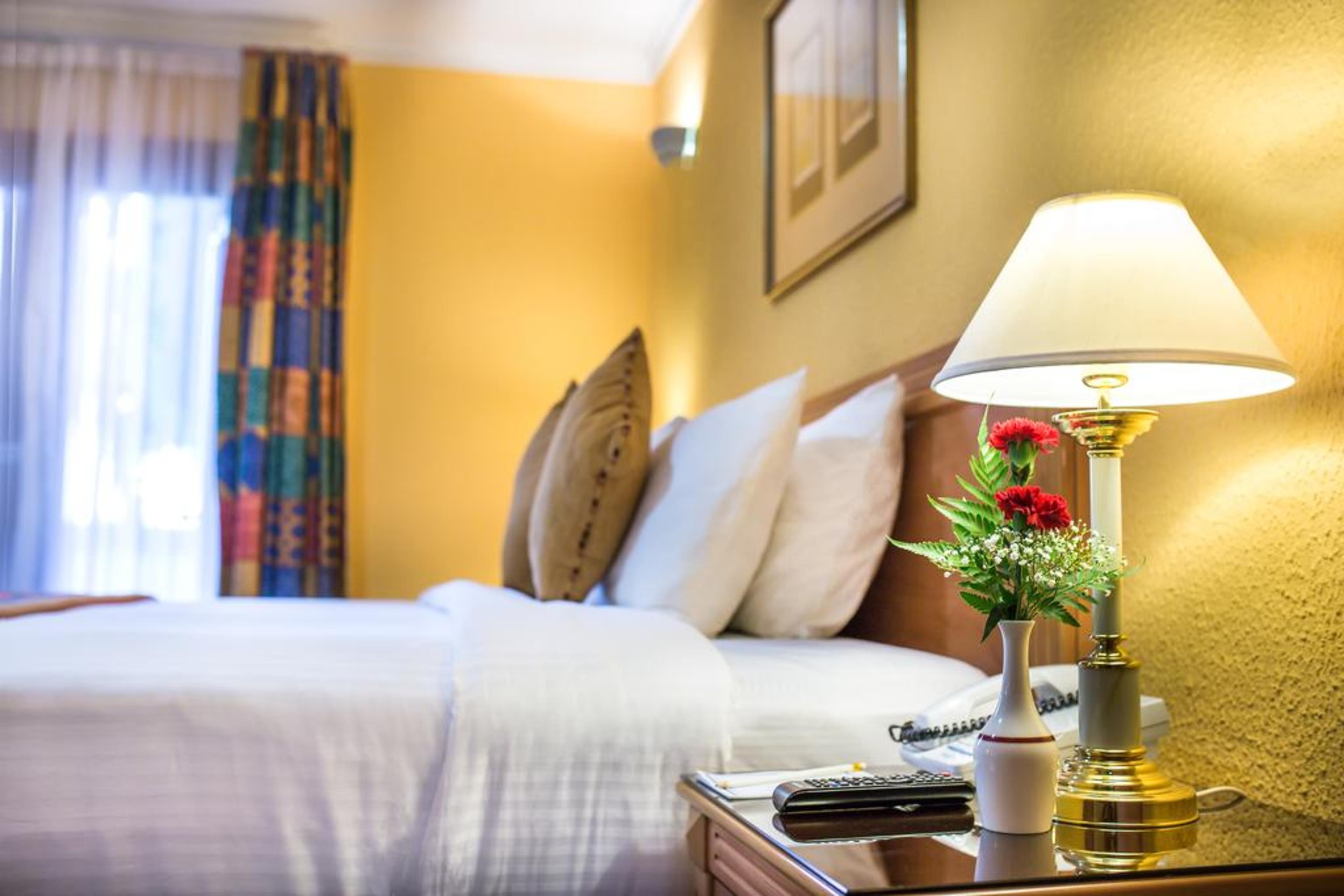 Marbella Resort Σάρτζα Εξωτερικό φωτογραφία